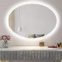 Овальное настенное зеркало со светодиодной LED-подсветкой Токио в интернет-магазине «Зеркала с подсветкой» фото